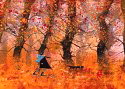 Just Walking the Dog by Sue Howells - limited edition print 